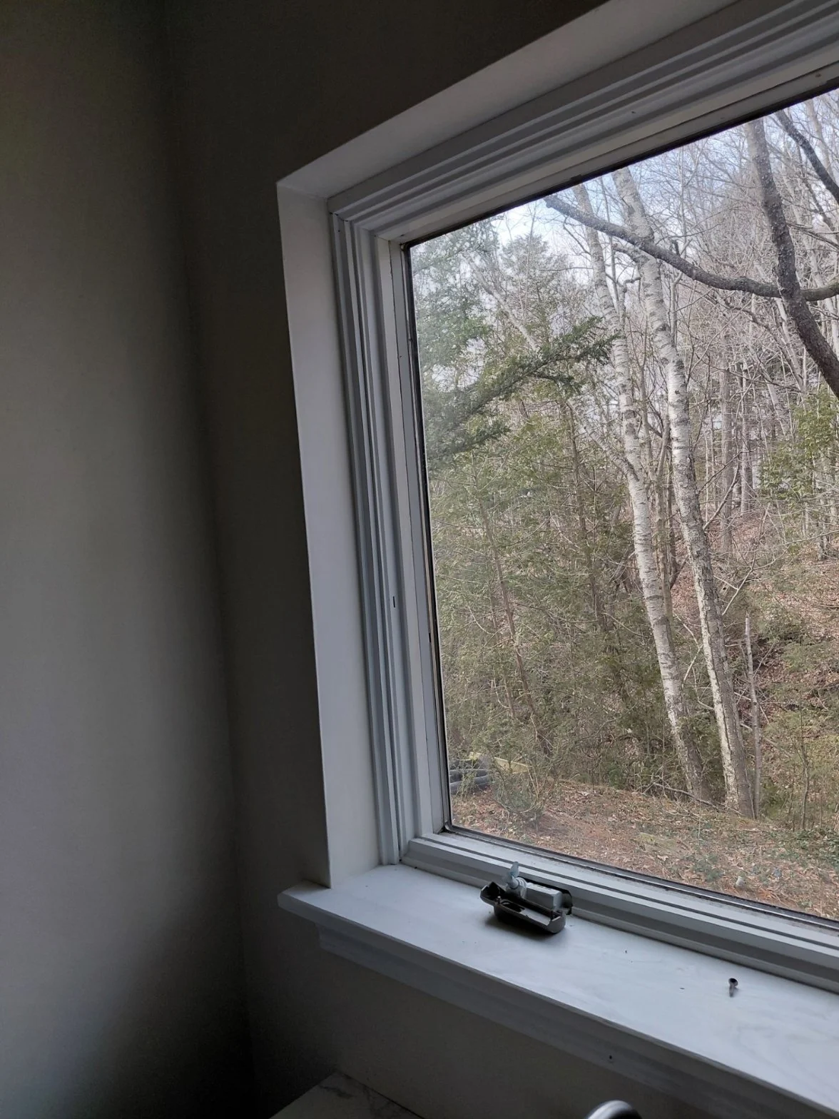 Bright interior window with crisp white trim framing a wooded view outside