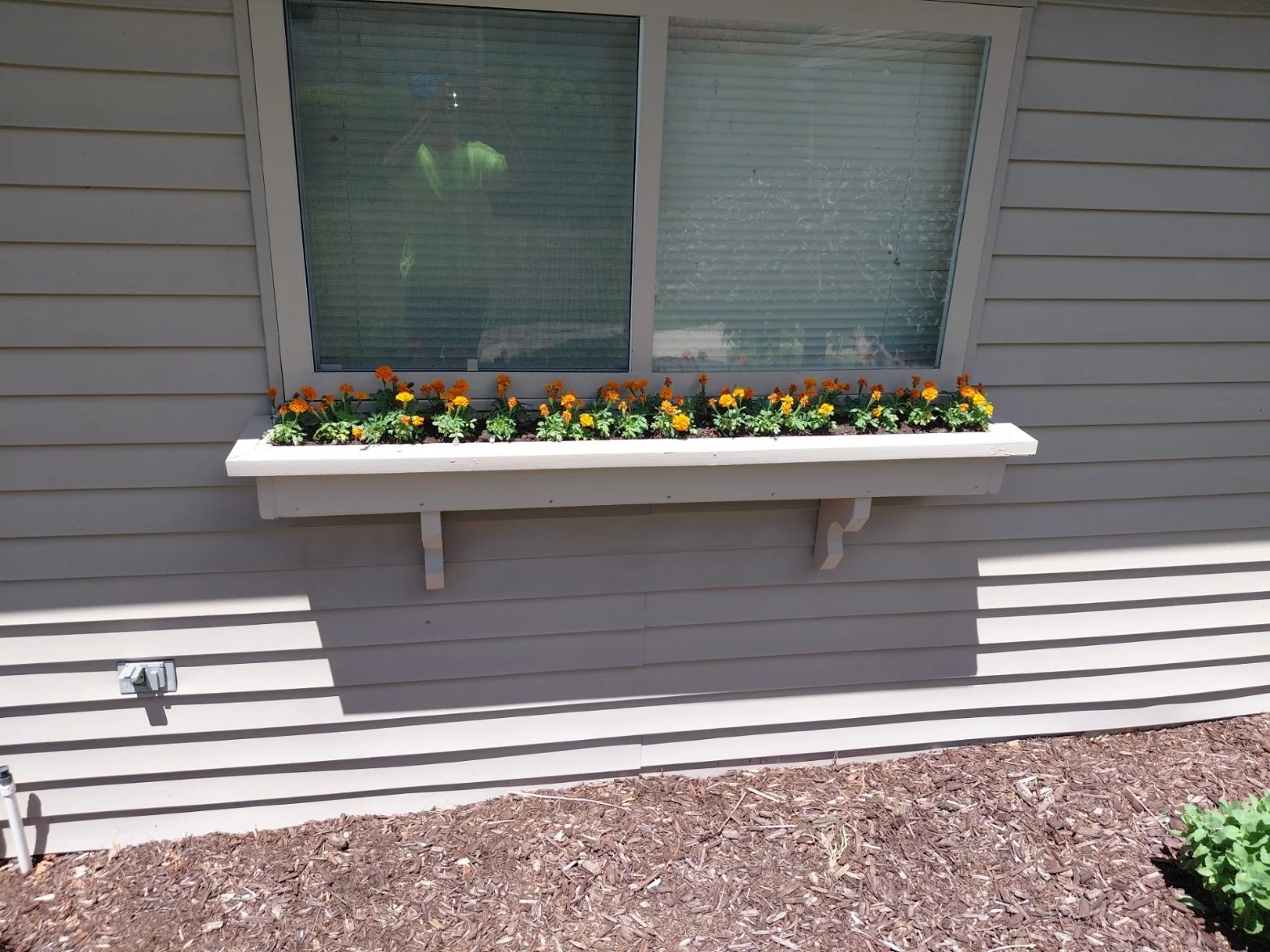 White window box planter full of orange and yellow flowers on a gray-sided house with large windows